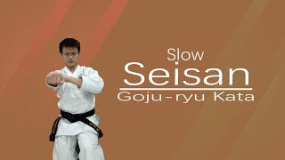 Gojuryu Kata Seisan（Slow） [upl. by Aivil]