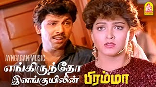 Engiruntho  2K Video Song  எங்கிருந்தோ  Bramma  Sathyaraj  Ilaiyaraaja  Ayngaran Music [upl. by Eanat]