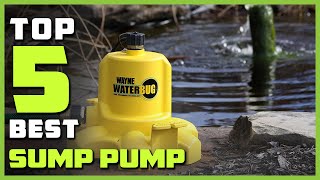 Best Sump Pump in 2023  Top 5 Sump Pumps Review [upl. by Aoniak]