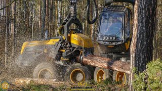 Ponsse Scorpion King m H6  64cm Fällkopf Aggregat Ponsse Harvester Im Kampf gegen den Borkenkäfer [upl. by Nosde]