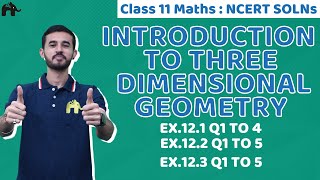 Introduction to Three Dimensional Geometry Class 11 Maths NCERT Solutions Chapter 12 121 123 123 [upl. by Yoj]