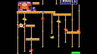 Arcade Game Donkey Kong Junior 1982 Nintendo [upl. by Egiap]