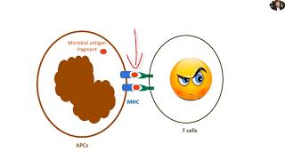 Immunology General Review innate and adaptive immunity [upl. by Fihsak732]