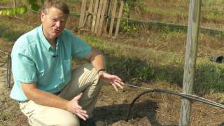 Isons Nursery How to Setup a Drip Irrigation System [upl. by Pederson]