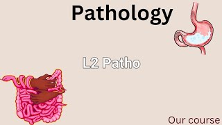 L2 patho Liver cirrhosis portal hypertension and liver failure  GIT 42 [upl. by Niamreg]