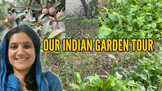 Indian Kitchen Garden Tour Trip to IndiaIThe Sangwan Family Vlogs [upl. by Enhpad]