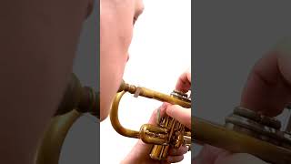 TET  TRUMPET EMBOUCHURE TRAINER [upl. by Edmunda]