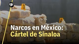 Cártel de Sinaloa ¿cuál es el origen y peso de este cártel [upl. by Luann]