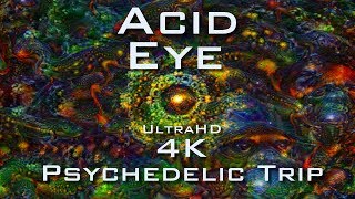 PSYCHEDELIC ACID EYE 4K  Deep Dream Fractal Trip  LSD DMT Mushroom Ayahuasca [upl. by Rabjohn]