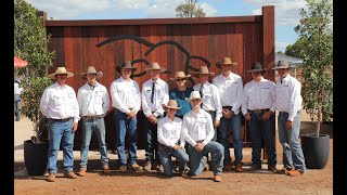 Greenup Eidsvold Station Santa Gertrudis Bull Sale  Belvedere  2023 [upl. by Lauer679]