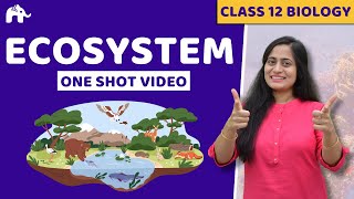 Ecosystem Class 12 One Shot  Biology NCERT Chapter 12  CBSE NEET [upl. by Arnold]