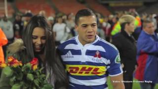 Cheslin Kolbe Proposal [upl. by Mackie]