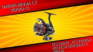 Daiwa ninja LT 4000C  Worth the money [upl. by Yrollam934]