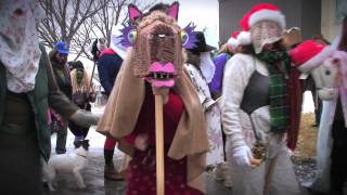 The Mummers Parade  St Johns Newfoundland and Labrador [upl. by Eseyt306]