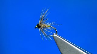 Tying a GrannomCaddis Soft Hackle by Davie McPhail [upl. by Arvie782]