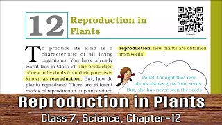 Class 7 Science Chapter 12  NCERT  Reproduction in Plants [upl. by Aerol]