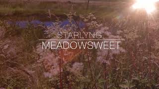 Meadowsweet [upl. by Latsyrd]