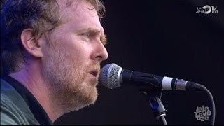 Glen Hansard  Bird of Sorrow Live  Lollapalooza 2014 [upl. by Auj705]