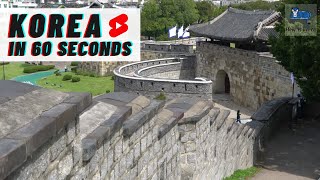 What a PERFECT Day Trip to Suwon Looks Like Info in Description Korea in 60 seconds [upl. by Harikahs]