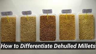 How to Differentiate Dehulled Millets [upl. by Dryfoos]