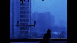 Cat Rain [upl. by Nagear]