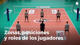 Las zonas las posiciones y los roles de los jugadores  Voleibol [upl. by Way744]