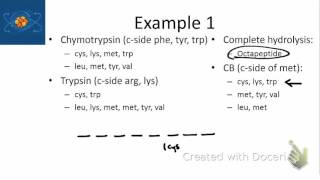 Protein Sequencing Part 1 [upl. by Anikahs]