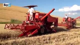 La guerra del grano i trattori in piazza Petrini quotInvasi da prodotto estero di bassa qualitàquot [upl. by Rollet565]