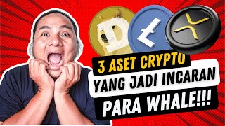 3 ASET CRYPTO YANG JADI INCARAN PARA WHALE [upl. by Kallista]