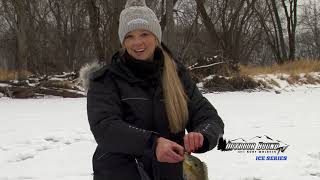 Mississippi River Backwater Perch with Mike McCormick and Weed Line Crappies in NW Wisconsin [upl. by Lady]