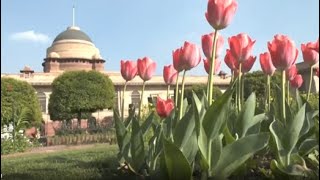 Delhis Mughal Gardens Open To Public From Tomorrow [upl. by Yaned]