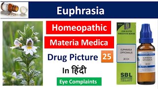 Euphrasia Homeopathic Medicine in Hindi  Drug Picture  Materia Medica bhms [upl. by Assiruam]