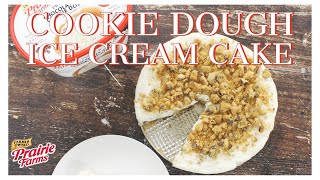 Cookie Dough Ice Cream Cake [upl. by Chafee]