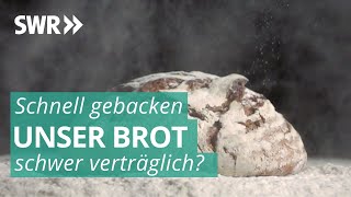 Das Geschäft mit Brot  Marktcheck SWR [upl. by Ihtraa]