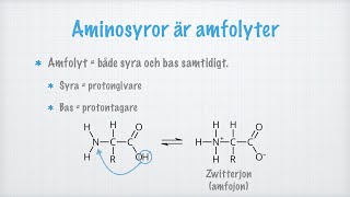 Aminosyror [upl. by Novia]