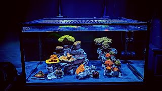 How to set up a Saltwater Reef Aquarium for beginners 2021 [upl. by Acinoryt166]