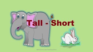 Learn Tall  Short  Long  Short concept for kids [upl. by Murton]