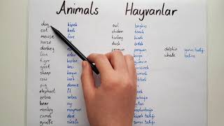 Ingilizce Hayvanlar ANIMALS [upl. by Lewes]