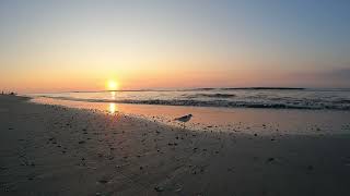 Hilton Head South Carolina Sunrise Peaceful Morning View on Coligny Beach [upl. by Edge]