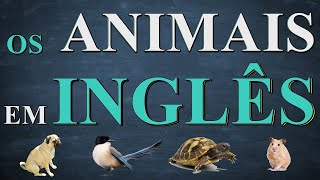 Os animais em inglês the animals Inglês iniciantes  aula 11 [upl. by Kreiker535]