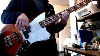 Red Hot Chili Peppers  Cant Stop Bass Cover [upl. by Ecydnac]