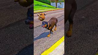 Gta 5 Dog Teach Us Love In Its Purest Form Part 06 🥺❤️💯 gta5 shorts gtatrendingfypシ fypシ゚ [upl. by Germin]