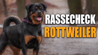 ROTTWEILER Rassecheck  Rasseportrait Rassebeschreibung Informationen zur Rasse [upl. by Nnahgem]