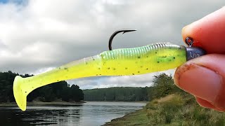 SOFT PLASTICS FISHING FOR BEGINNERS [upl. by Godart914]