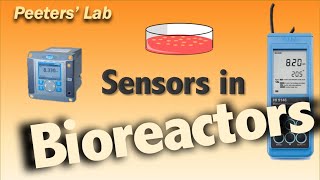 Sensors in bioreactors [upl. by Zennie]