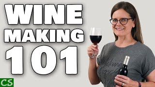 Wine Making 101  Beginner Basics for Wine Making at Home [upl. by Lzeil]