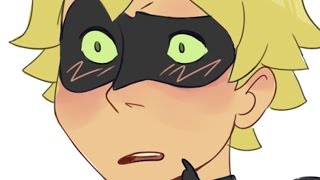 Miraculous Ladybug Comic Dub  The Ladyblog  PHANTOMSAVAGE [upl. by Saville]