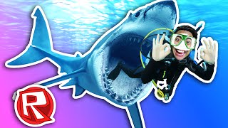 SHARK ATTACK  Roblox [upl. by Elberfeld]