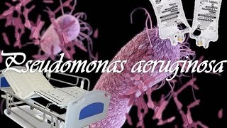 Pseudomonas aeruginosa [upl. by Adiene]