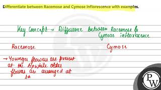 Differentiate between Racemose and Cymose inflorescence with examples [upl. by Eniar]